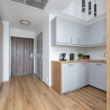 Apartment Modern With Swimming Pool In Hanza Tower By Renters