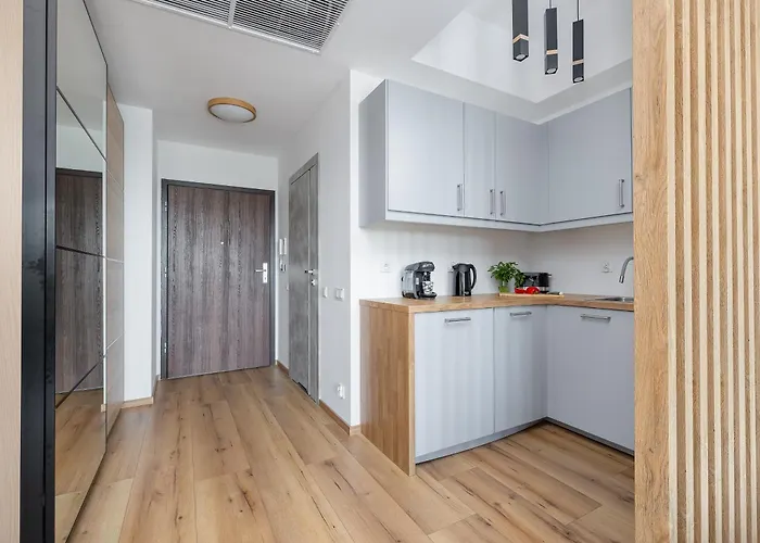 Apartment Modern With Swimming Pool In Hanza Tower By Renters